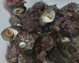 サザエの佃煮作り方1写真