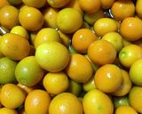 金柑を無水鍋で煮る作り方1写真