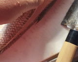 釣り師の嫌われもののエソを捌く作り方7写真