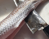 釣り師の嫌われもののエソを捌く作り方8写真