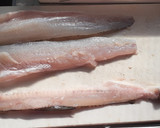 釣り師の嫌われもののエソを捌く作り方13写真