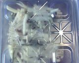 ズッキーニとツナのごまナムル作り方4写真