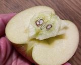 りんご飾り切り（王蟲リンゴ）作り方1写真
