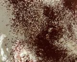 アメリカ式・ティラミス作り方5写真