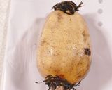 我が家のれんこんのきんぴら作り方1写真