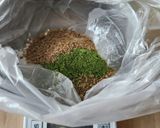 卵なし☆レンジ3分☆すり胡麻抹茶クッキー作り方1写真