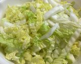 生っぽくない白菜の早漬け作り方5写真