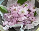 桜の花の塩漬け作り方1写真