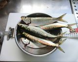 カタボシイワシの塩焼き作り方1写真