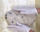 ★黒豆 餅　豆餅の作り方　餅つき機 使用作り方8写真