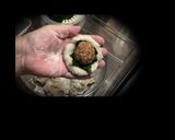 里芋饅頭汁作り方6写真