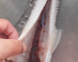 釣り師の嫌われもののエソを捌く作り方5写真