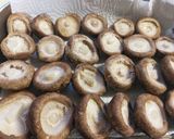生椎茸の保存方法と粉末干し椎茸の作り方作り方3写真