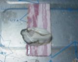 カキのベーコンフライ作り方2写真