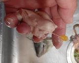 ウマヅラハギの簡単な下処理作り方7写真