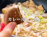 簡単だけど本格派・お鍋1つでカレーうどん作り方5写真