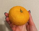 豆乳柚子クリームパスタ作り方1写真