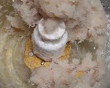エソの薩摩揚げ作り方1写真
