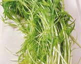 水菜の辛子和え作り方1写真