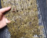 干葉(ヒバ) 千葉県お雑煮用ふりかけ作り方9写真