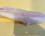 釣ってきたアカメフグで寿司作り方4写真