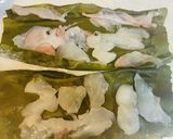 釣ってきたフグの身皮の丼作り方4写真