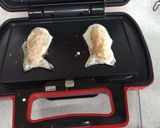 美味な薄皮！エアロスミス☆りんご鯛焼き作り方6写真