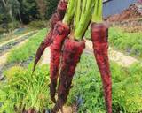 農家の食卓〜人参と野菜いろいろかき揚げ〜作り方1写真