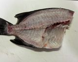 サンバソウ(石鯛)のにんにく醤油ソテー作り方1写真