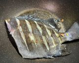 サンバソウ(石鯛)のにんにく醤油ソテー作り方3写真