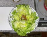 無限ニンニクレタス作り方8写真