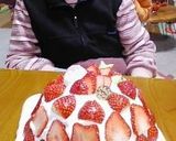 クリスマスケーキ苺ズコット(インスタ映え作り方20写真