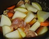 鳥もも肉と大根のホロホロ煮作り方5写真