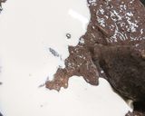 ヨーグルトでチョコレートチーズケーキ作り方12写真