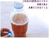 Sweet玄米乳酸菌ドリンク作り方6写真