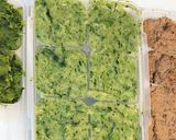 ほうれん草ポタージュ【離乳食５ヶ月〜】作り方7写真