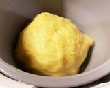 蒸し器と餅つき機deみかん餅作り方13写真
