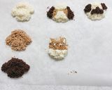 わんこのチョコクランチ作り方9写真