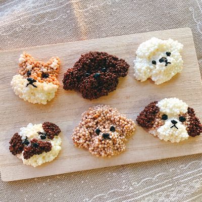 クランチチョコさま確認用☺︎わんこふく 犬服 チョコレート 犬