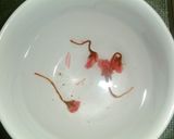 お花見✿梅だけど、桜豆腐✿作り方1写真