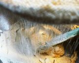 さつまいもとりんごのタルト作り方3写真