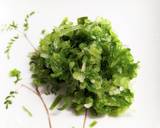 簡単たこ飯作り方7写真