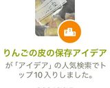 りんごの皮の保存アイデア作り方5写真