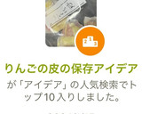 りんごの皮の保存アイデア作り方5写真