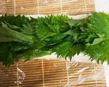 簡単さば寿司 美味しいわ作り方1写真