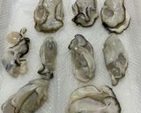 焼き牡蠣のちらし寿司作り方3写真
