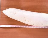 ［VEG］　大根餅作り方4写真