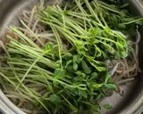 豆苗と豚肉のお酢生姜炒め作り方7写真