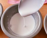 米粉の吸水実験(粉10g水10g)作り方4写真