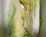 柚子入り　白菜の漬物作り方2写真